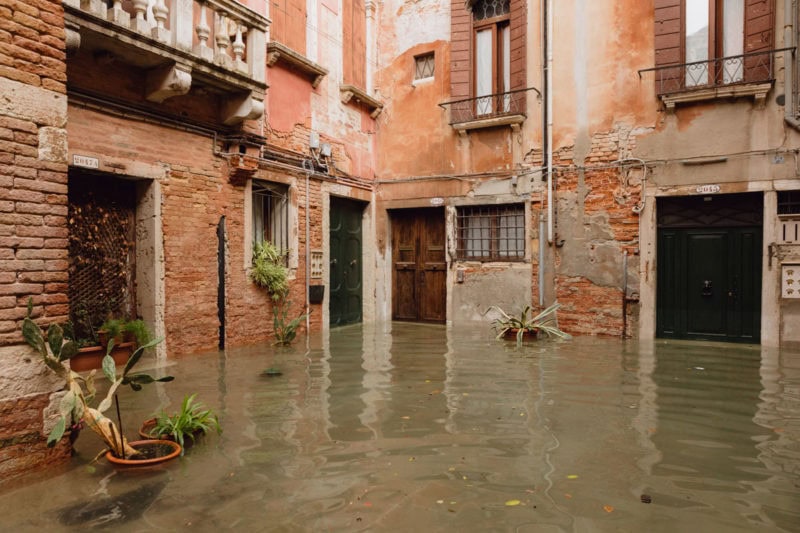 Venice High Tide