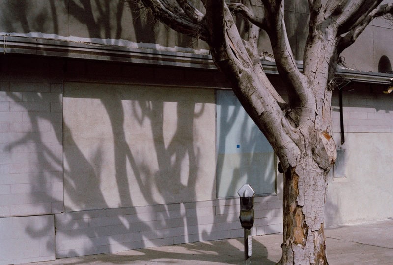 Albert Elm C41 Submission 2