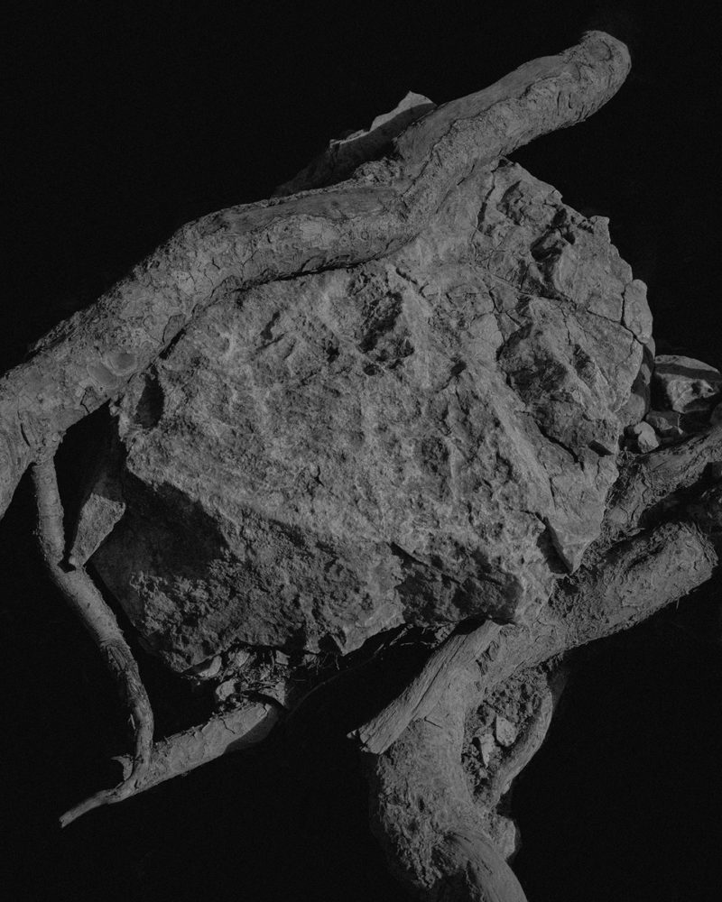 Mars Prtr400 7 003