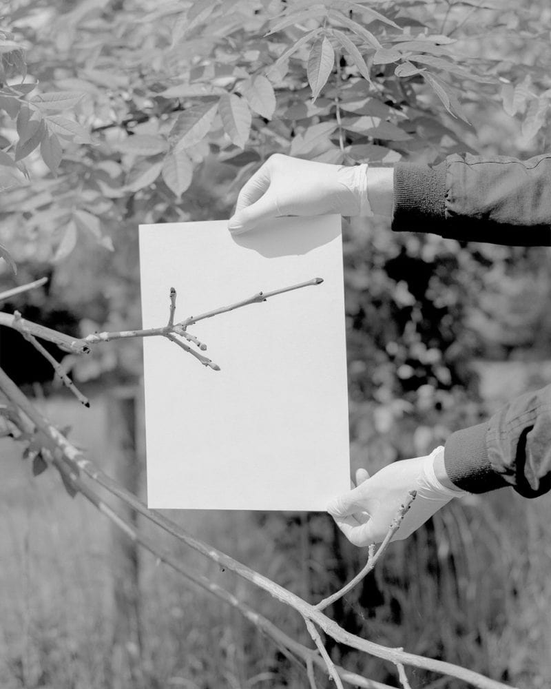 Ootl 055