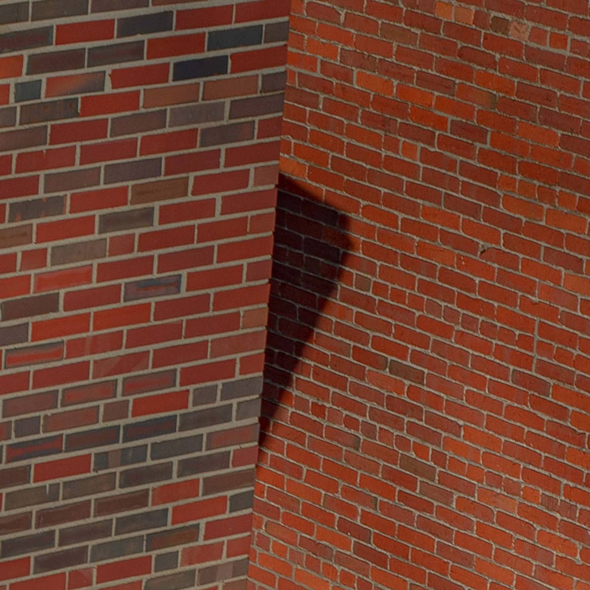 Samuel Harris Kidfortoday C41 Magazine 4