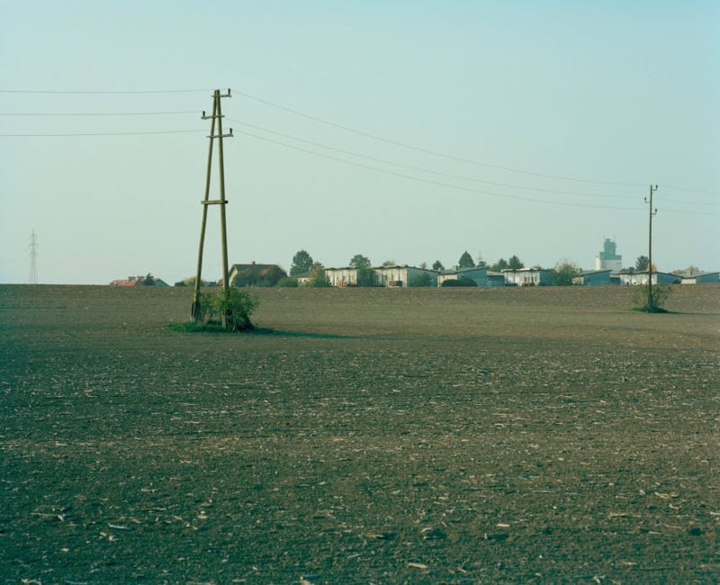 Thomas Steineder Algorithmic Walking C41 Submission 12
