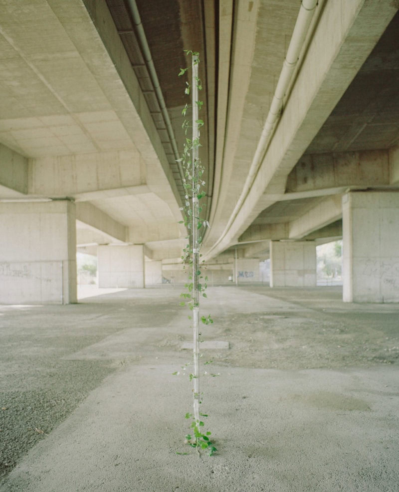 Thomas Steineder Algorithmic Walking C41 Submission 15