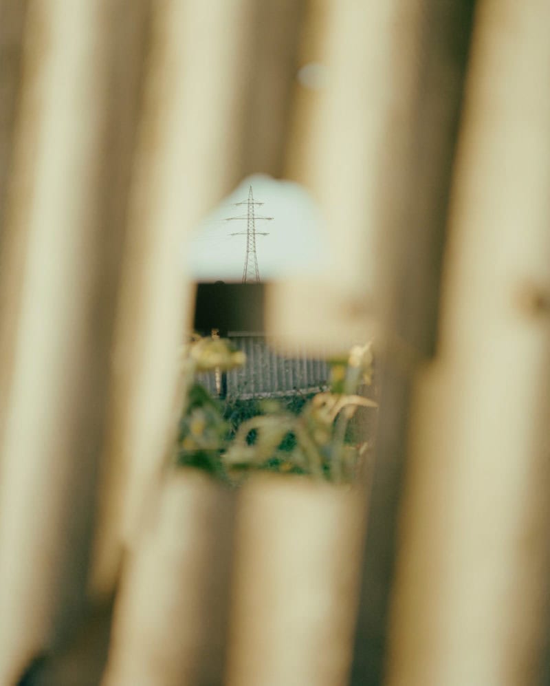 Thomas Steineder Algorithmic Walking C41 Submission 18