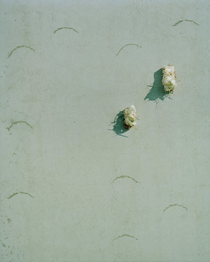 Thomas Steineder Algorithmic Walking C41 Submission 3