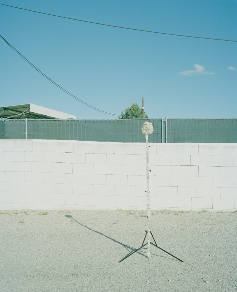 Thomas Steineder Algorithmic Walking C41 Submission 5
