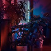 Brenda George Ko For Enroutemag C41 Magazine Covid 19 Isolation