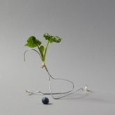 Claudia Zalla Weekly Recap 5 C41 Magazine Covid 19 Isolation