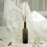 Daniel John 2 C41 Magazine Covid 19 Isolation