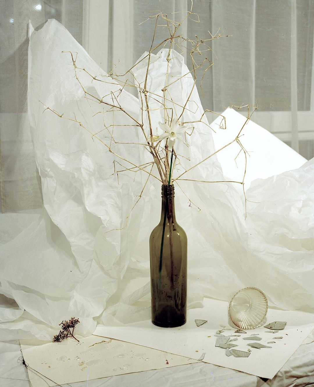 Daniel John 2 C41 Magazine Covid 19 Isolation