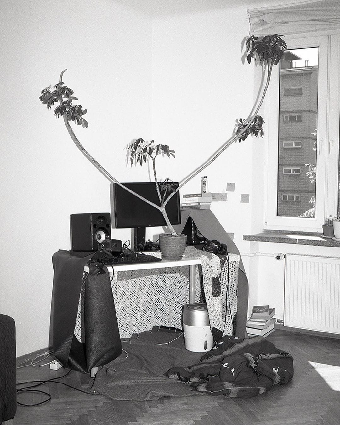 Joanna Piotrowska 5 C41 Magazine Covid 19 Isolation