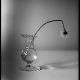 Stephanie Stamatis C41 Magazine Covid 19 Isolation