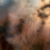 Tommaso Maraniello C41 Magazine Covid 19 Isolation