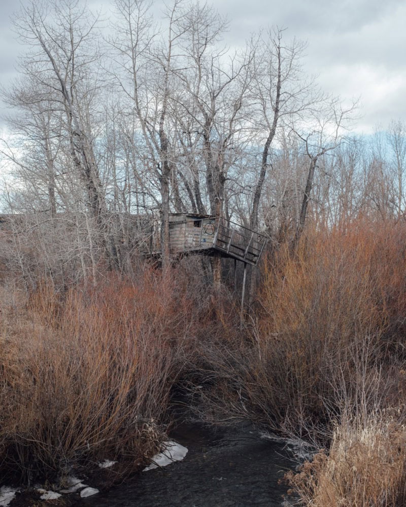 Bates Meadowlark 0004