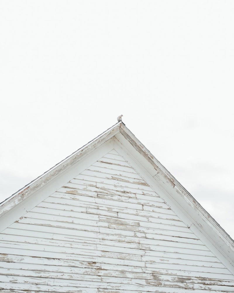 Bates Meadowlark 0029