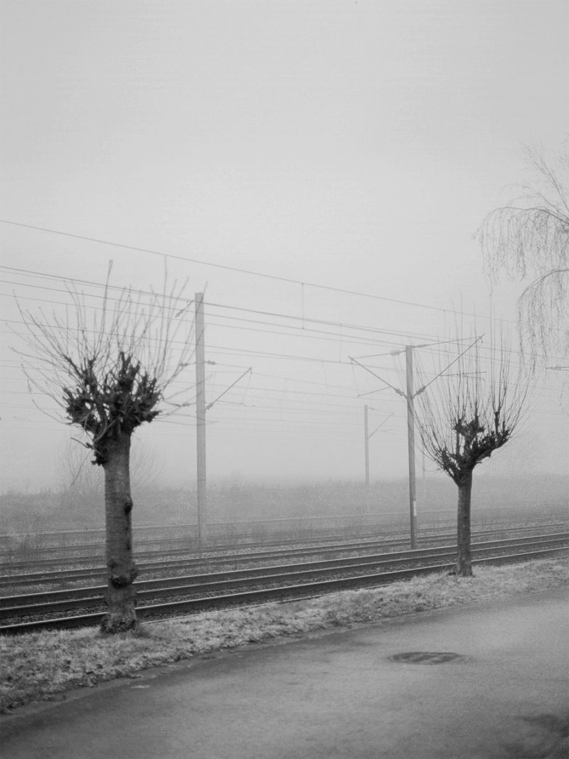 LorenzaDOrazio Letemps C41 Submission 6