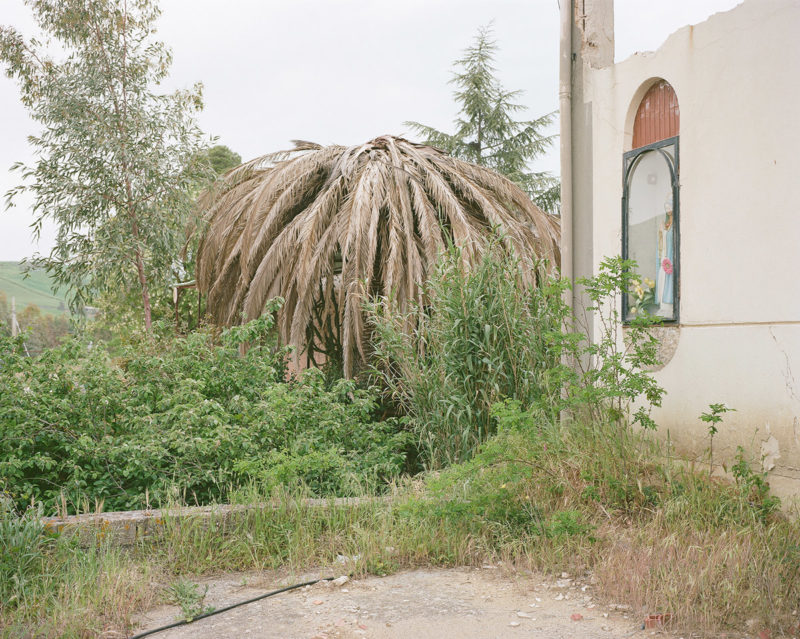 PietroMotisi Sicilia Fantasma C41magazine 14