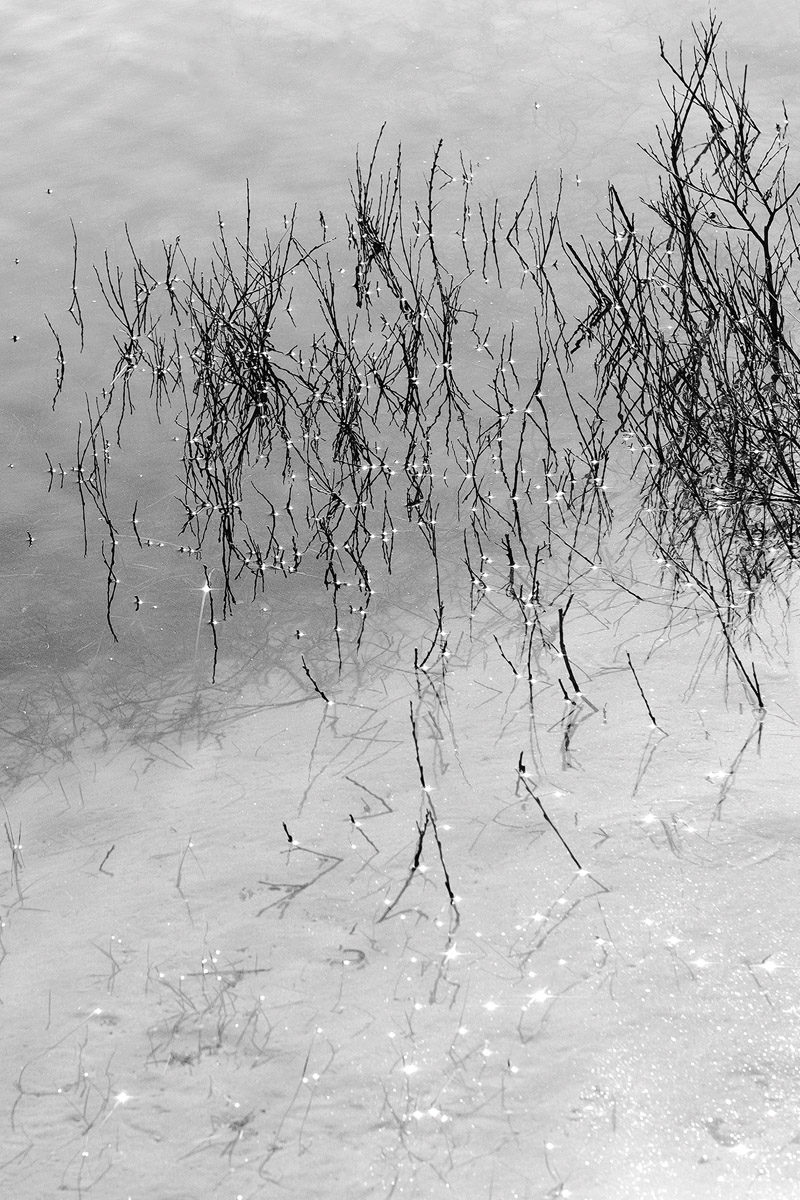 Merel Waagmeester Works Photography 8