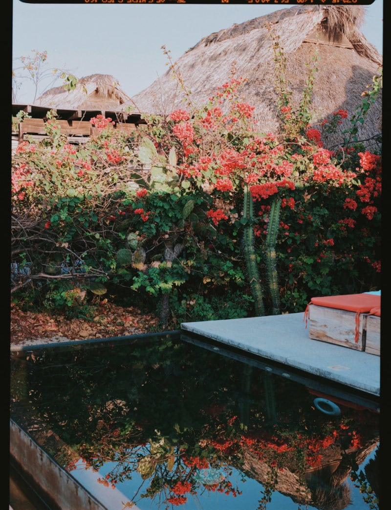 Processed With VSCO With C8 Preset
