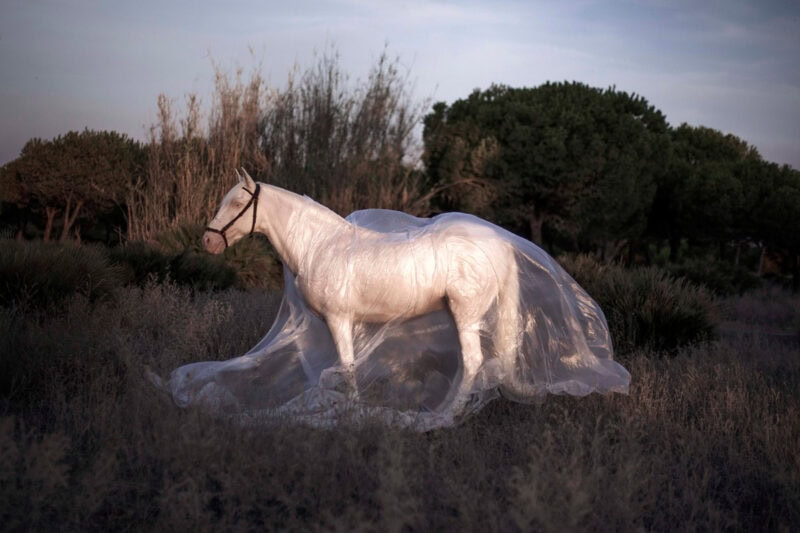 Curro Rodriguez Debla Photography 4