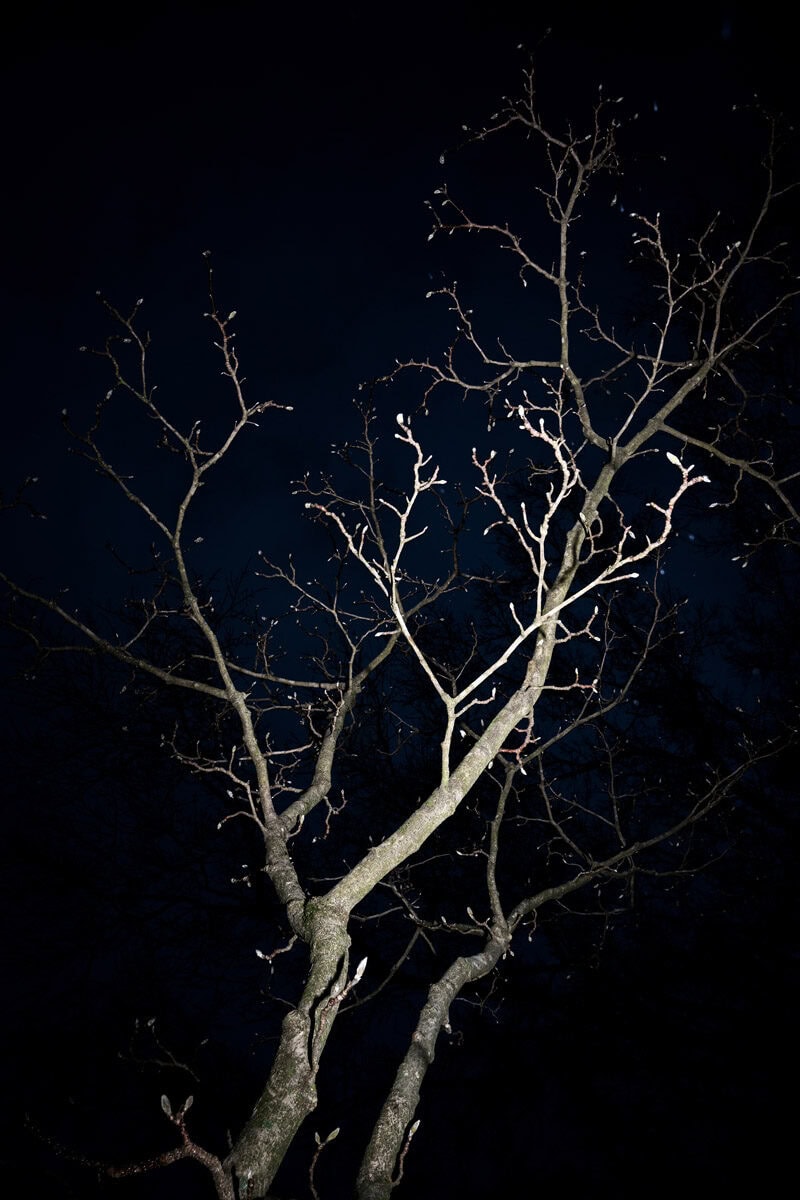 Mehves Lelic On Adornment Photography 11