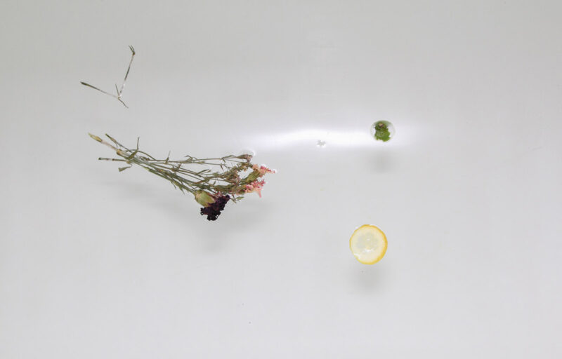 Mehves Lelic On Adornment Photography 14
