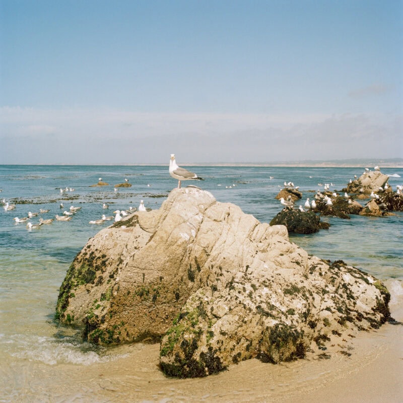 Ross Mantle Can You Spare An Umbrella? Photography 35