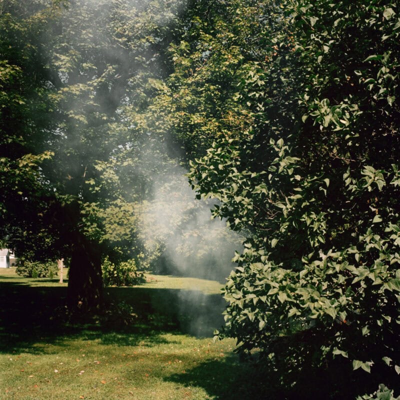 Ross Mantle Can You Spare An Umbrella? Photography 4