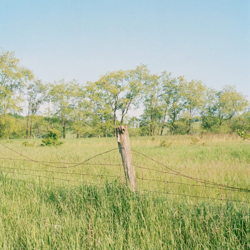 Ross Mantle Can You Spare An Umbrella? Photography 5