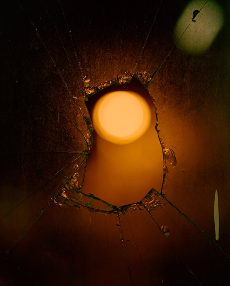 William Sheepskin Strange New Habits Photography 7