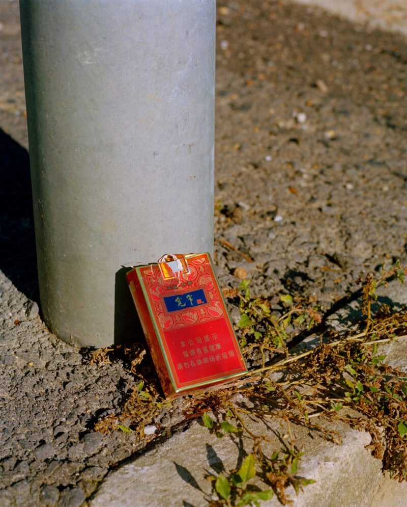 William Sheepskin Strange New Habits Photography 9