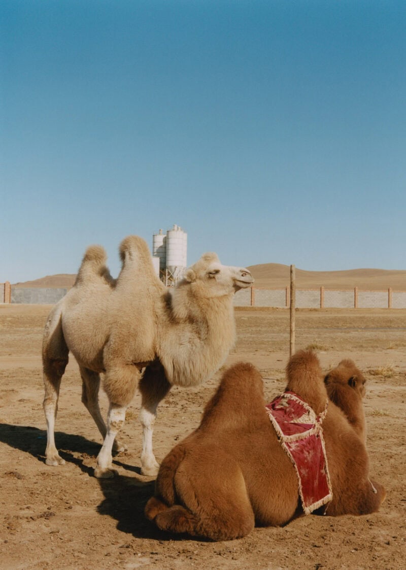 Alex De Mora Straight Outta Ulaanbaatar Photography 16