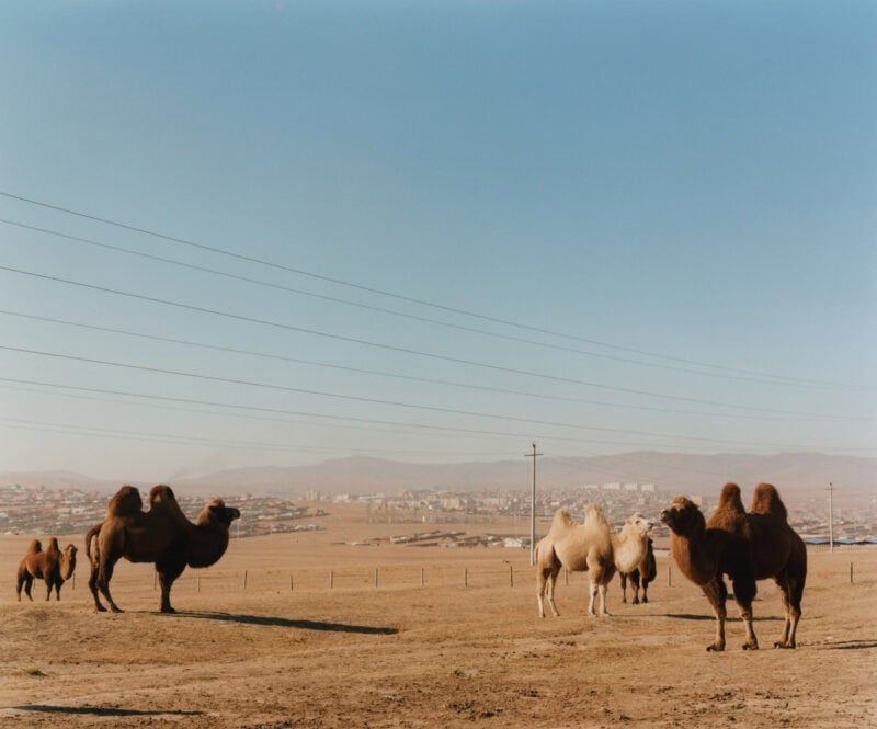 Alex De Mora Straight Outta Ulaanbaatar Photography 28