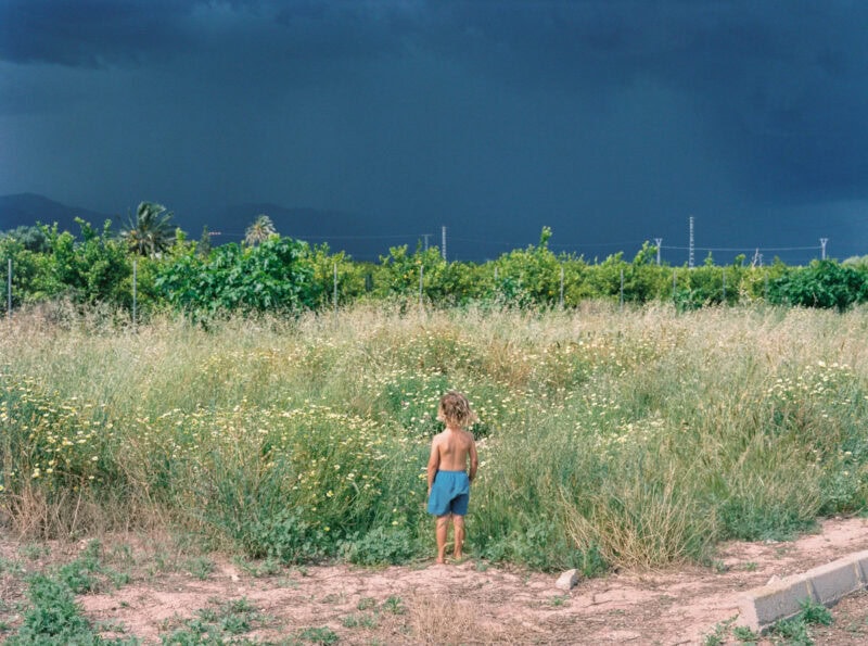 Irmina Walczak Oasis: In Our Quarantine Yard Photography 12