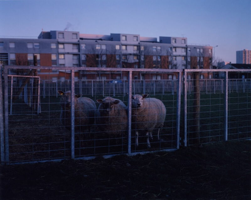 Alexandre Silberman Differences & Repetitions – Aesthetics Of Disappearance And Overlaying In Seine Saint Denis Photography 19