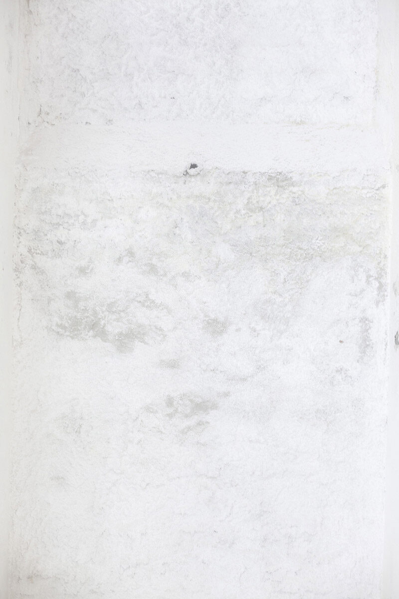 Camilla Coppola Alle Radici Della Maestria Photography 7