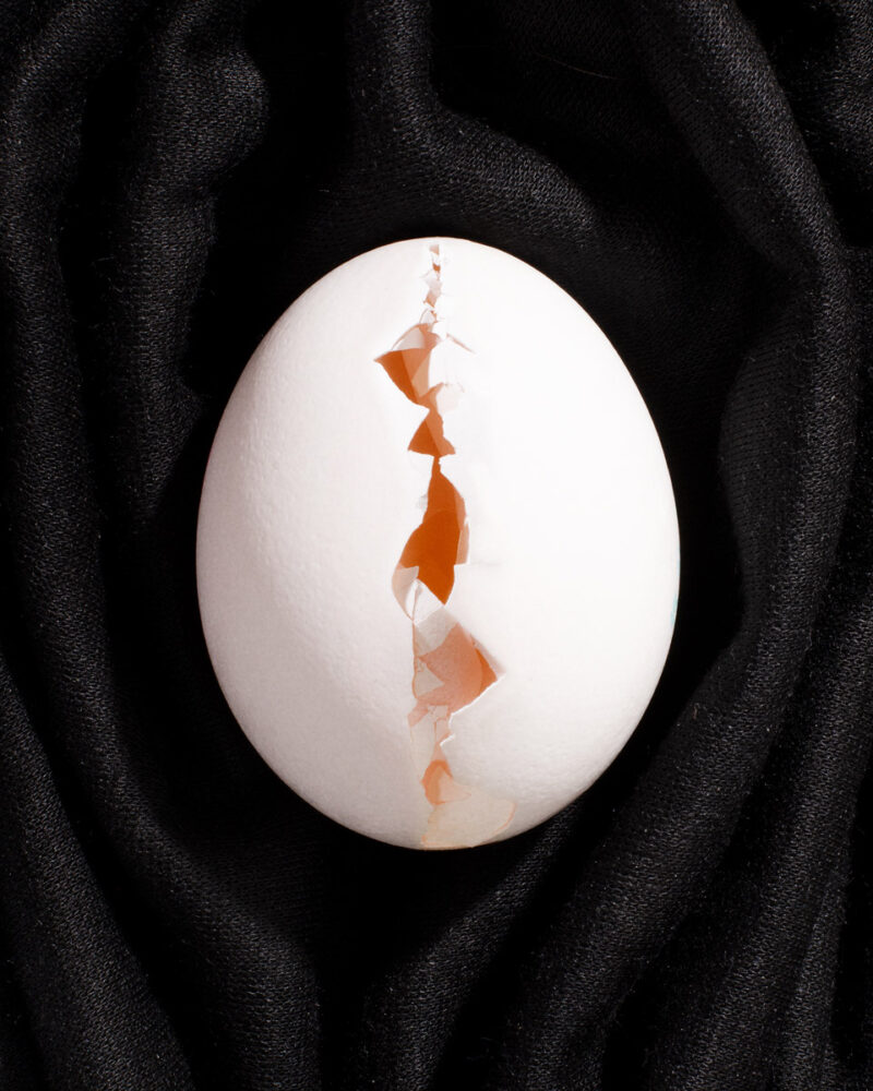 Nicolas Polli When Strawberries Will Grow On Trees C41 Magazine 11