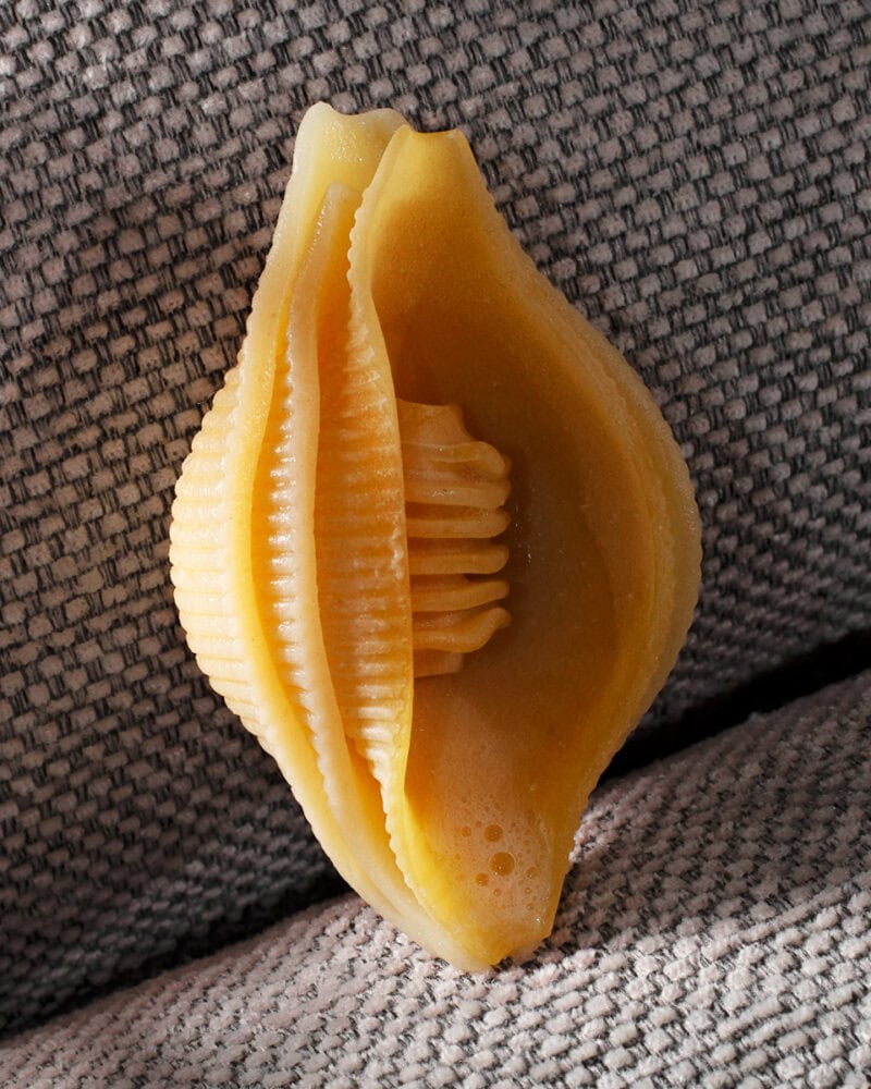 Nicolas Polli When Strawberries Will Grow On Trees C41 Magazine 12