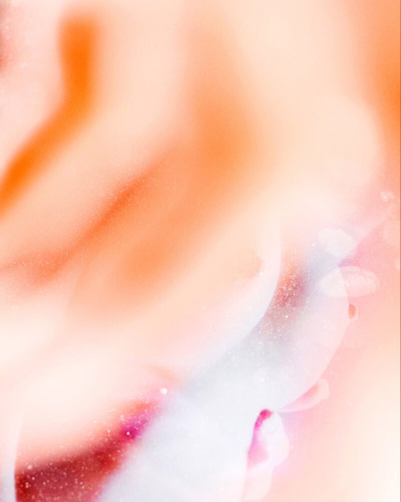 Nicolas Polli When Strawberries Will Grow On Trees C41 Magazine 17