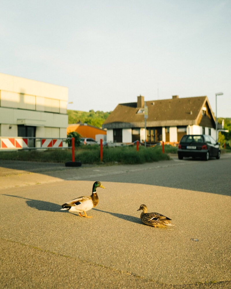 Nils Böddingmeier Landluft Photography 35