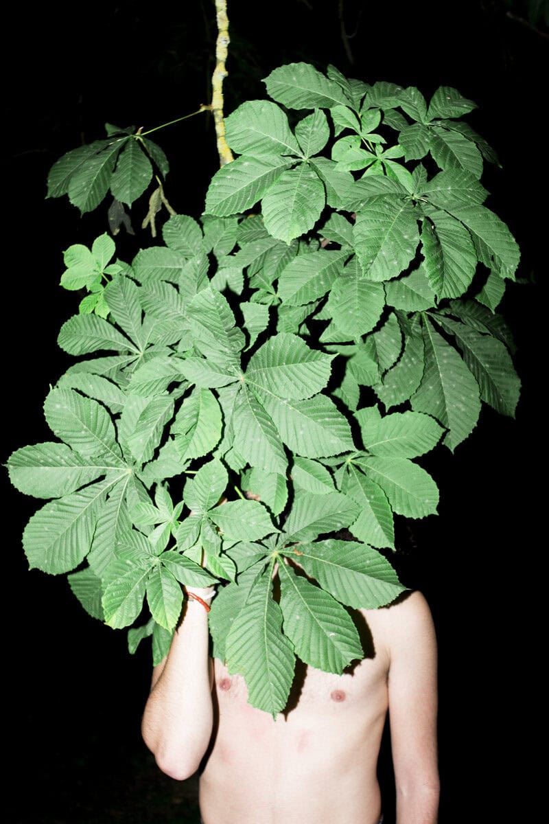 Ugo Woatzi Chameleon Photography 13