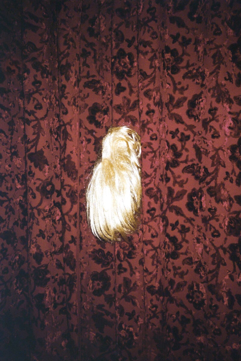 Ugo Woatzi Chameleon Photography 17