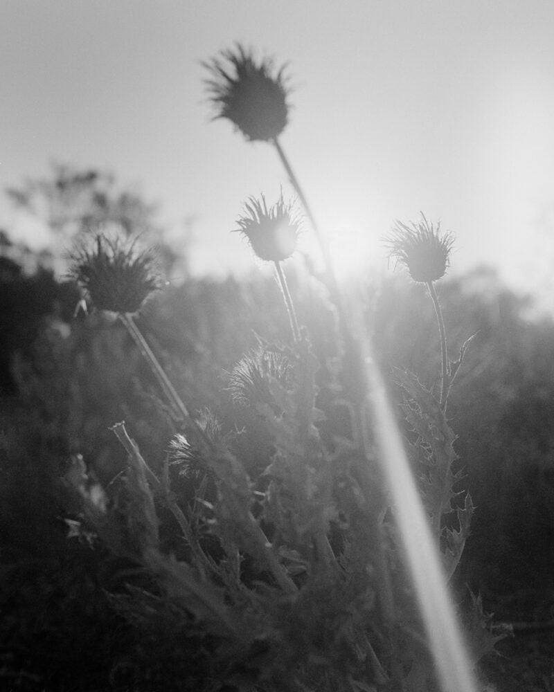 Untitled 022