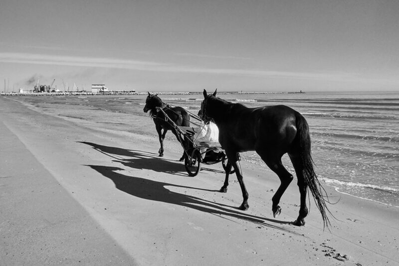 Diego Costantini Prototipo Romantico Contemporaneo C41magazine Photography 2