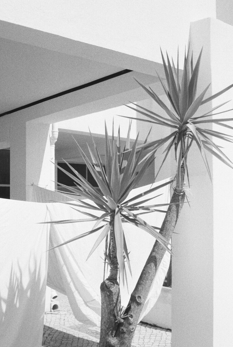 Jonas Gerber Sandstrand C41magazine Photography 8