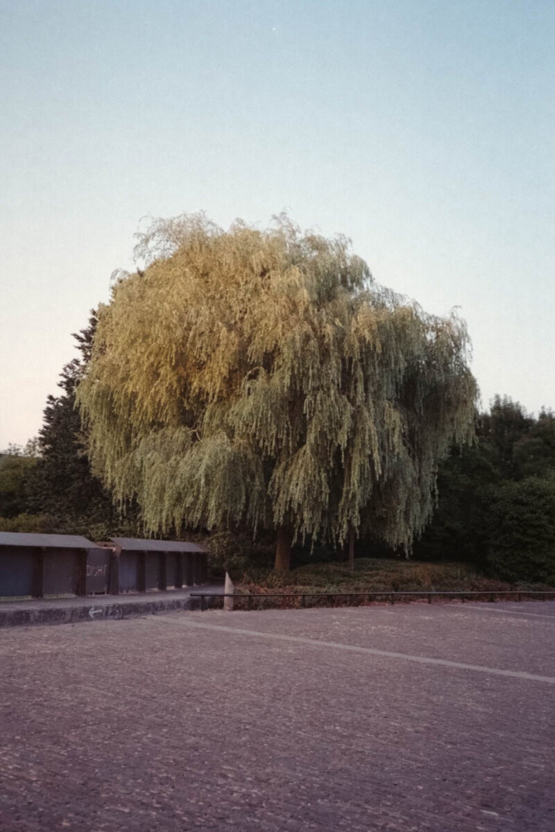 Ugo Costa Compose.(No Ideas But In Things)Invent! C41magazine Photography 1