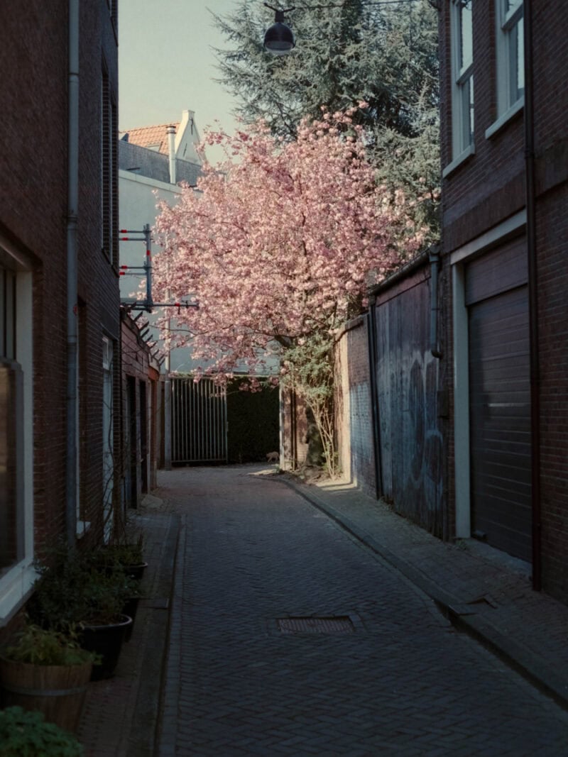 Ugo Costa Compose.(No Ideas But In Things)Invent! C41magazine Photography 11