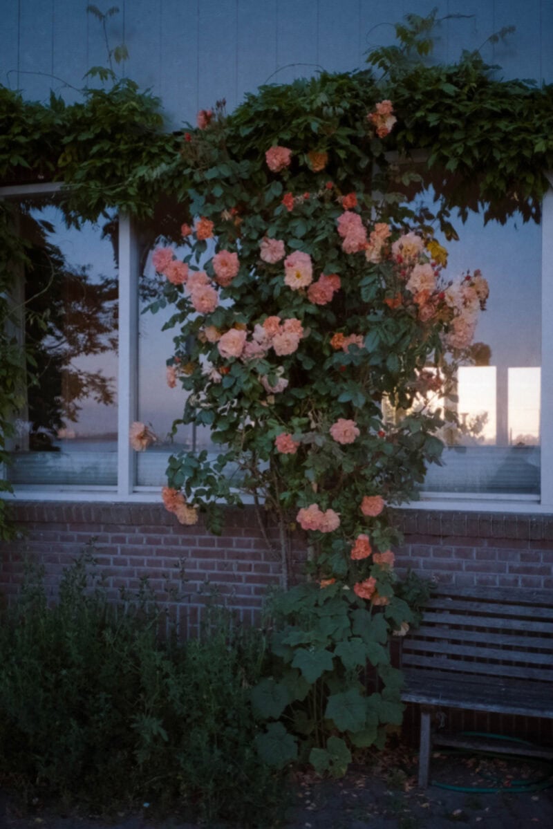 Ugo Costa Compose.(No Ideas But In Things)Invent! C41magazine Photography 16