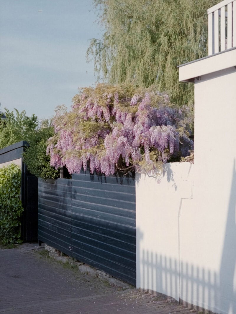 Ugo Costa Compose.(No Ideas But In Things)Invent! C41magazine Photography 18