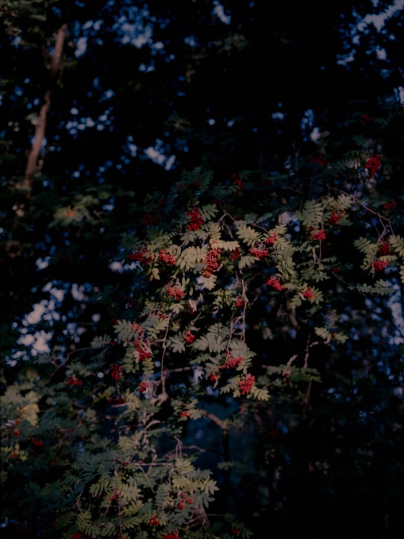Ugo Costa Compose.(No Ideas But In Things)Invent! C41magazine Photography 19